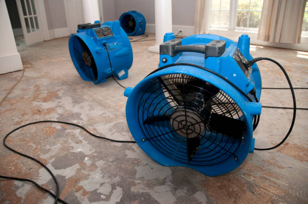 Best Water damage restoration company  in Tazewell, TN